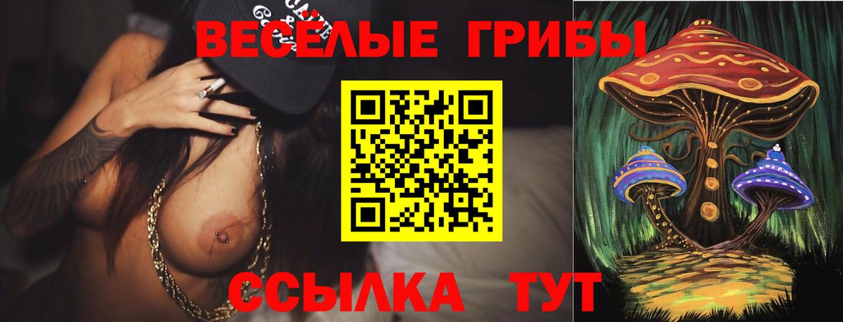 Псилоцибиновые грибы мухоморы  Псилоцибиновые грибы Cubensis  Гагарин  Вход с VPN 